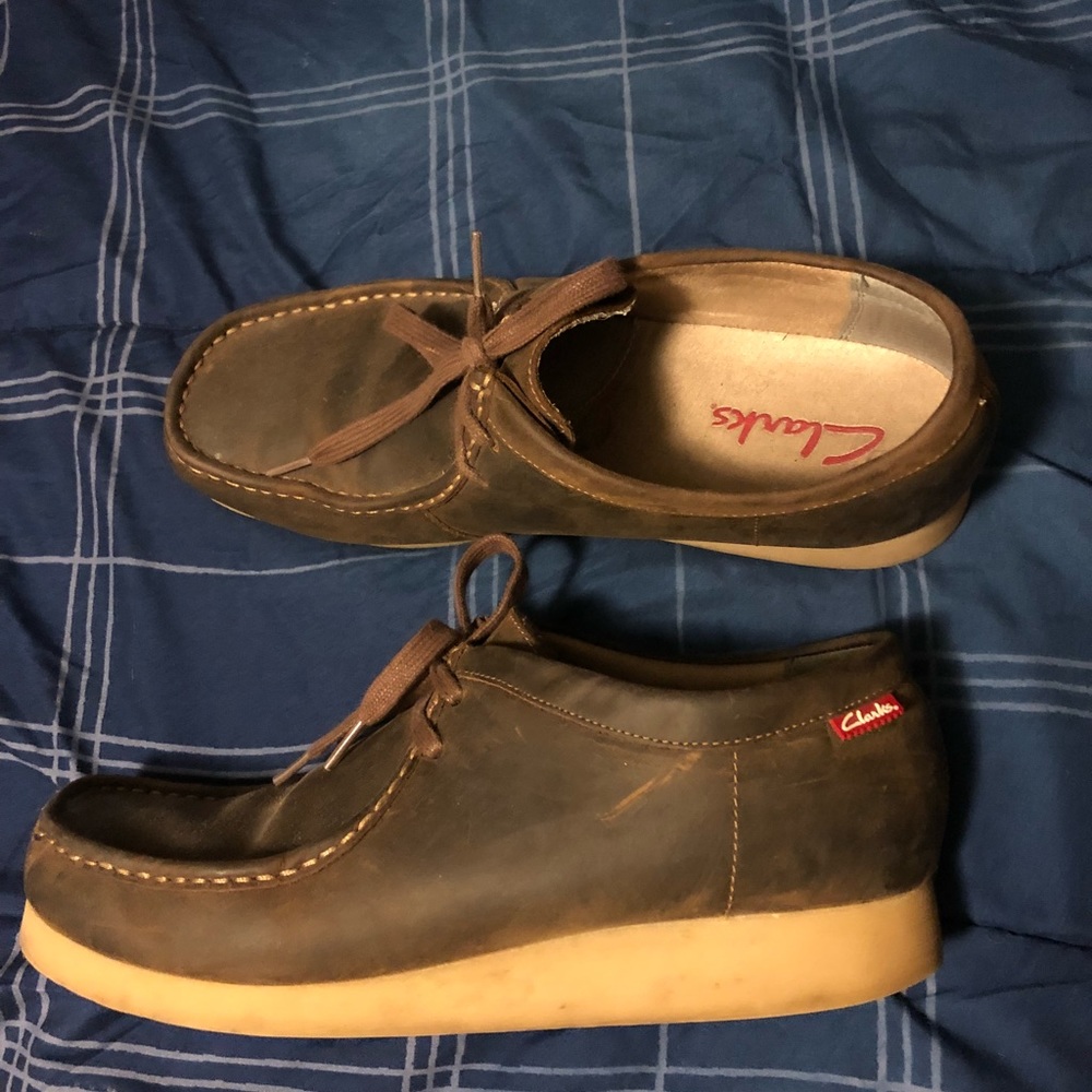Clark’s wallabies